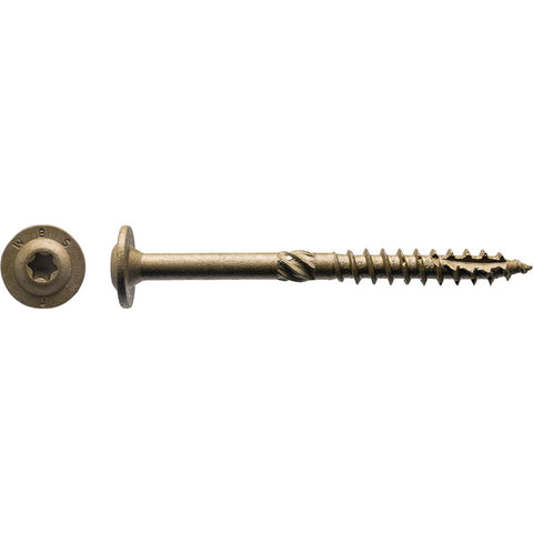 CTX153-100 Zainab Supplies