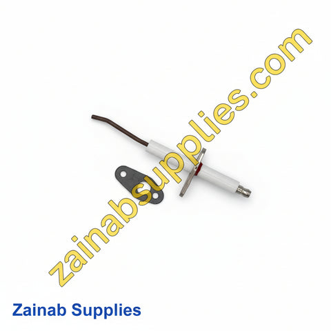 LOCHINVAR & A.O. SMITH 100165931 FLAME SENSOR W/GASKET