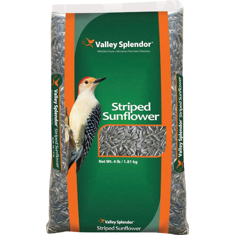 Valley Splendor Striped Sunflower Seed; Mfg #387