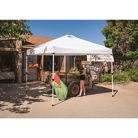 Crown Shade Steel Aluminum Frame Commercial Canopy; Mfg #CSHB100-400D