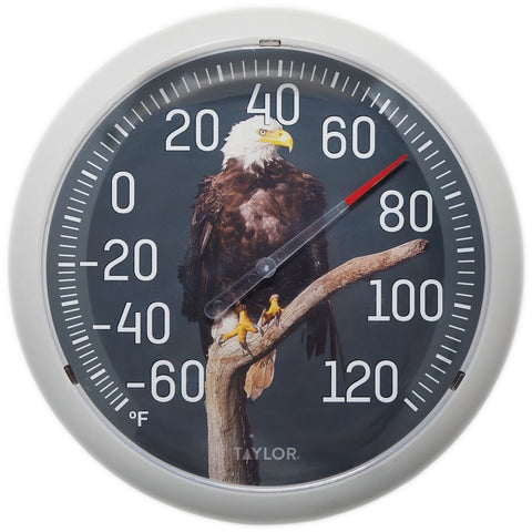 Taylor Eagle Indoor & Outdoor Thermometer; Mfg #5307093