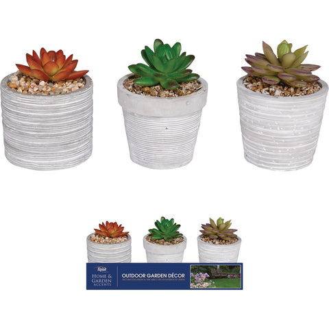 Alpine Succulent Pot Lawn Ornament; Mfg #KGD212ABB