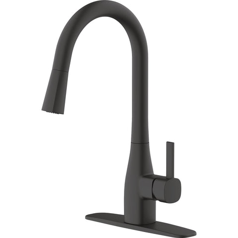 Home Impressions Single Handle Pull Down Kitchen Faucet; Mfg #FP4AF316BL-JPA9
