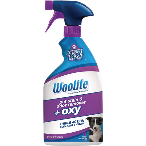 Woolite Carpet Pet Stain & Odor Remover; Mfg #890