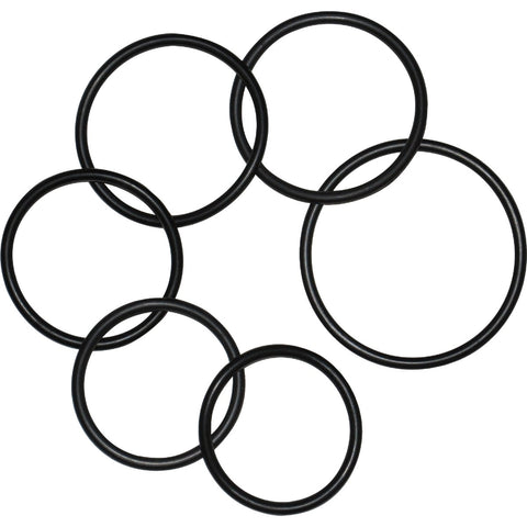 Danco Medium Rubber O-Ring Kit; Mfg #9D00010712