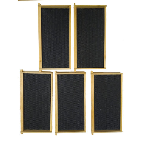 Harvest Lane Honey Deep Beehive Frame; Mfg #WWFFDB-103-5