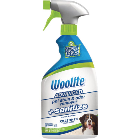 Woolite Advanced Carpet Pet Stain & Odor Remover; Mfg #11521