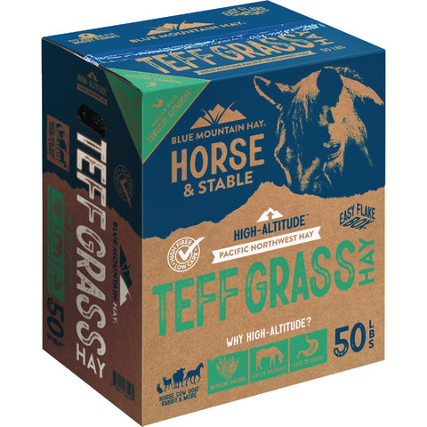Blue Mountain Hay Teff Grass Hay; Mfg #TGB-50LB