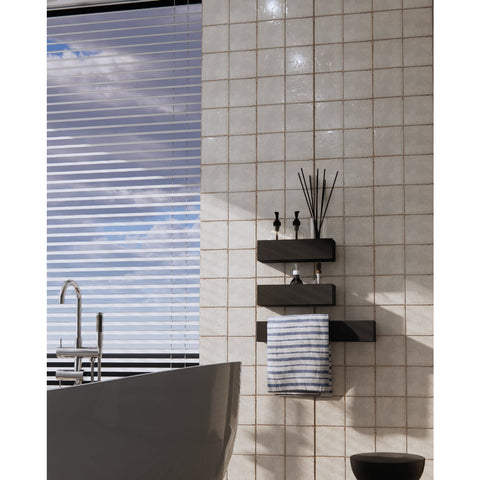 Emser Antigo Glossy Ceramic Wall Tile; Mfg #F14ANTIVA0505P