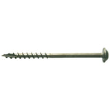 SML-C250 - 50 Zainab Supplies