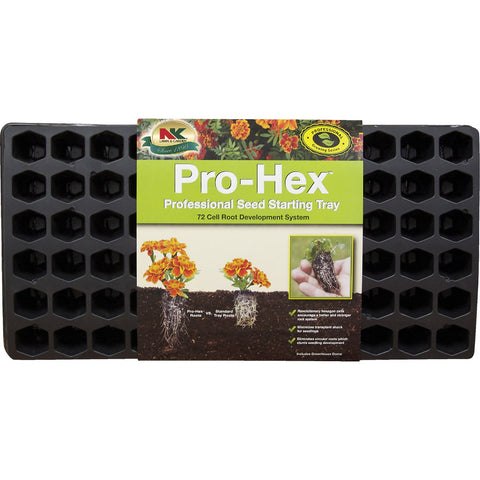 PHEX-7 Zainab Supplies