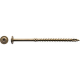 CTX156 Zainab Supplies
