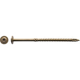 CTX155-100 Zainab Supplies