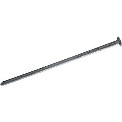 S227530 Zainab Supplies