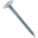 1HGRFG Zainab Supplies