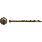 CTX143-100 Zainab Supplies