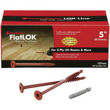 FMFL005-50 Zainab Supplies