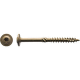 CTX153 Zainab Supplies