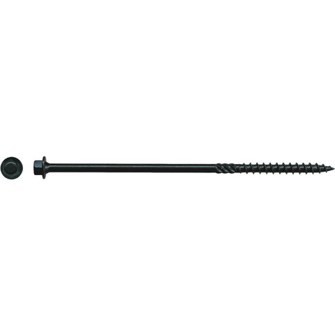 BL146-25 Zainab Supplies