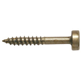 SPS-F1 - 100 Zainab Supplies