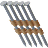 MAXC62878 Zainab Supplies