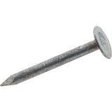 1EGRFG Zainab Supplies